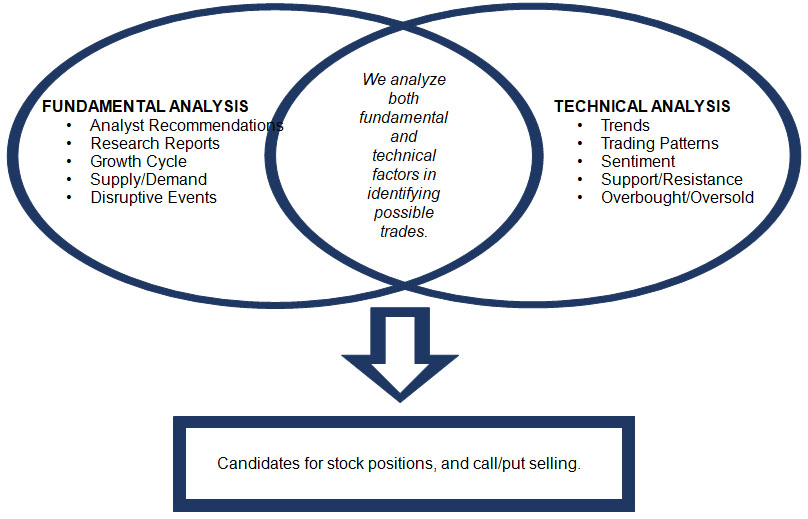 Our Investment Process