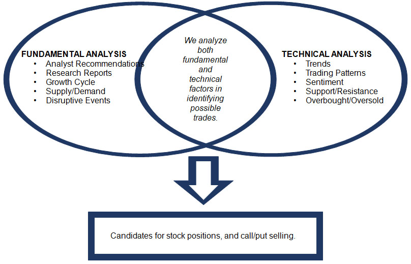 Our Investment Process